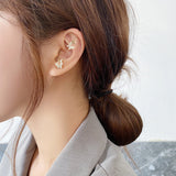 Zircon Earrings Piercing Earrings Premium Earrings
