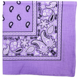 Cashew Flower Paisley Hip Hop Square Scarf
