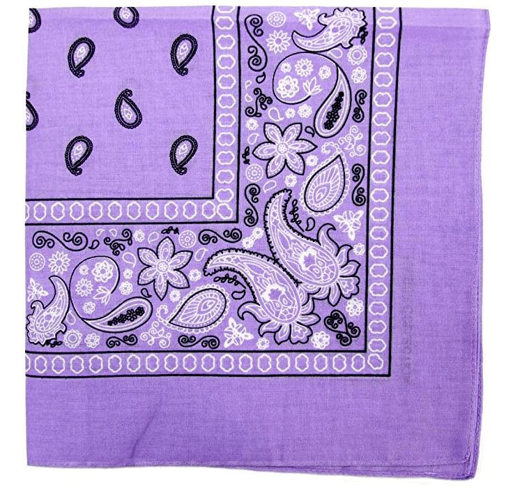 Cashew Flower Paisley Hip Hop Square Scarf
