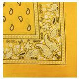 Cashew Flower Paisley Hip Hop Square Scarf
