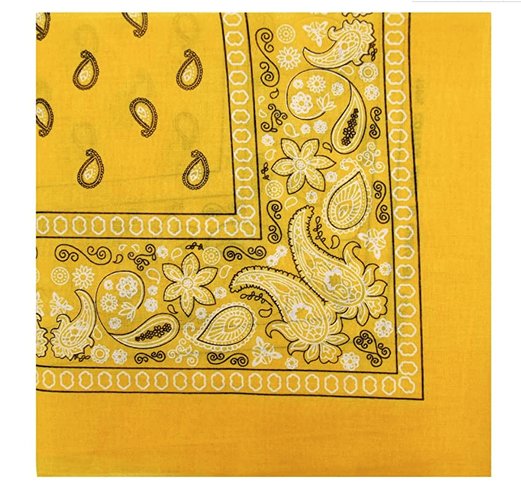 Cashew Flower Paisley Hip Hop Square Scarf
