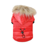 Paka Winter Jacket
