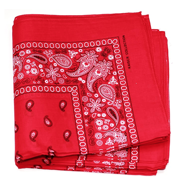 Cashew Flower Paisley Hip Hop Square Scarf
