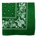 Cashew Flower Paisley Hip Hop Square Scarf
