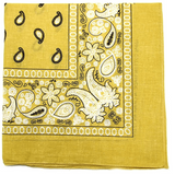 Cashew Flower Paisley Hip Hop Square Scarf
