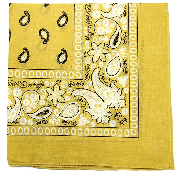 Cashew Flower Paisley Hip Hop Square Scarf
