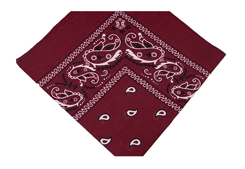 Cashew Flower Paisley Hip Hop Square Scarf
