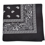 Cashew Flower Paisley Hip Hop Square Scarf
