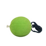 Smart Inflatable Ball Swing Trainer New Trainer  Wisdom Ball Fan Supplies
