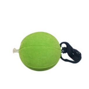 Smart Inflatable Ball Swing Trainer New Trainer  Wisdom Ball Fan Supplies
