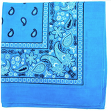 Cashew Flower Paisley Hip Hop Square Scarf
