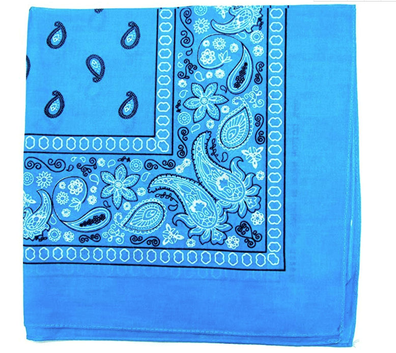 Cashew Flower Paisley Hip Hop Square Scarf
