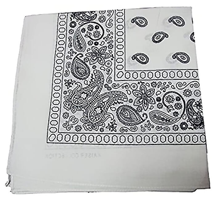 Cashew Flower Paisley Hip Hop Square Scarf
