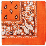 Cashew Flower Paisley Hip Hop Square Scarf
