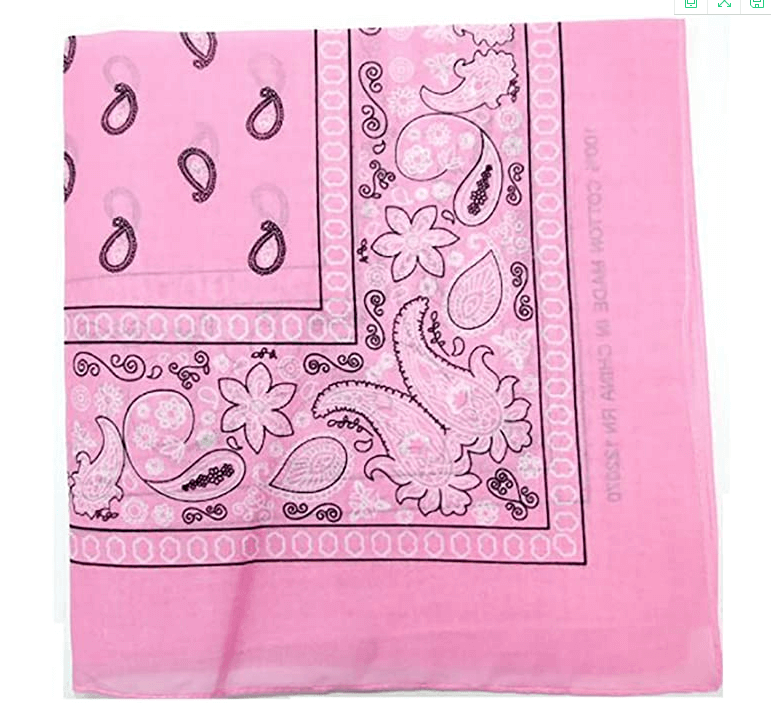 Cashew Flower Paisley Hip Hop Square Scarf
