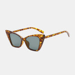 Acetate Lens Cat Eye Sunglasses
